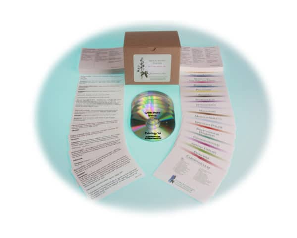 Quick Study System by Gwynn Cadwallader