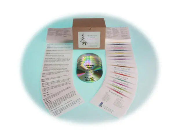 Quick Study System by Gwynn Cadwallader