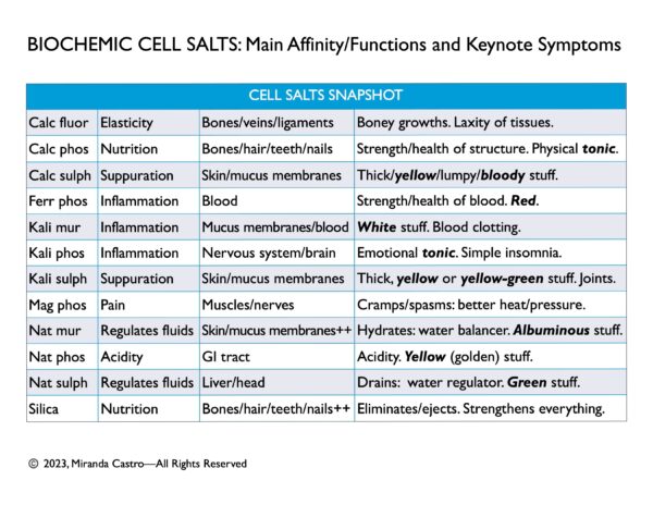 Cell Salts Snapshot by Miranda Castro