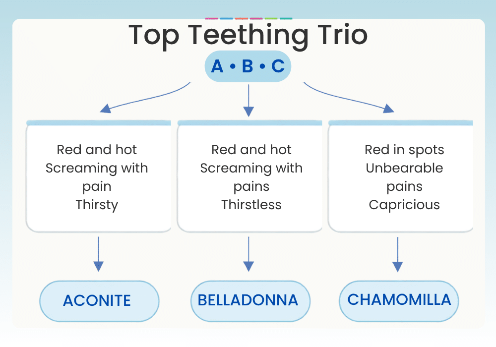 Top Teething Remedies from Miranda Castro Happy Healthy Teething with Homeopathy