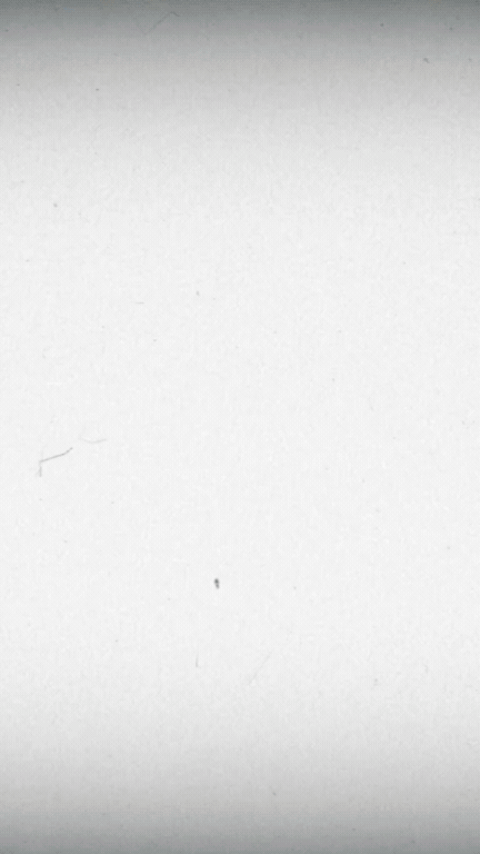 14 Second Sneak Peak of the Homeopathic Prescriber by Kayne Kayne - Miranda Castro's Shop