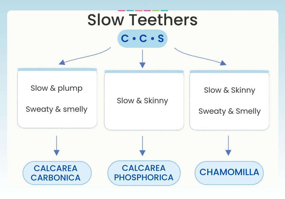 Slow Teething Remedies from Miranda Castro Happy Healthy Teething with Homeopathy