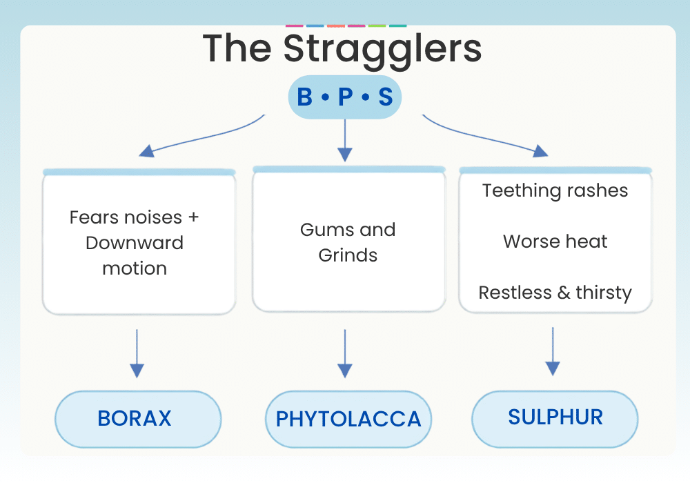 The Stragglers Teething Remedies from Miranda Castro Happy Healthy Teething with Homeopathy